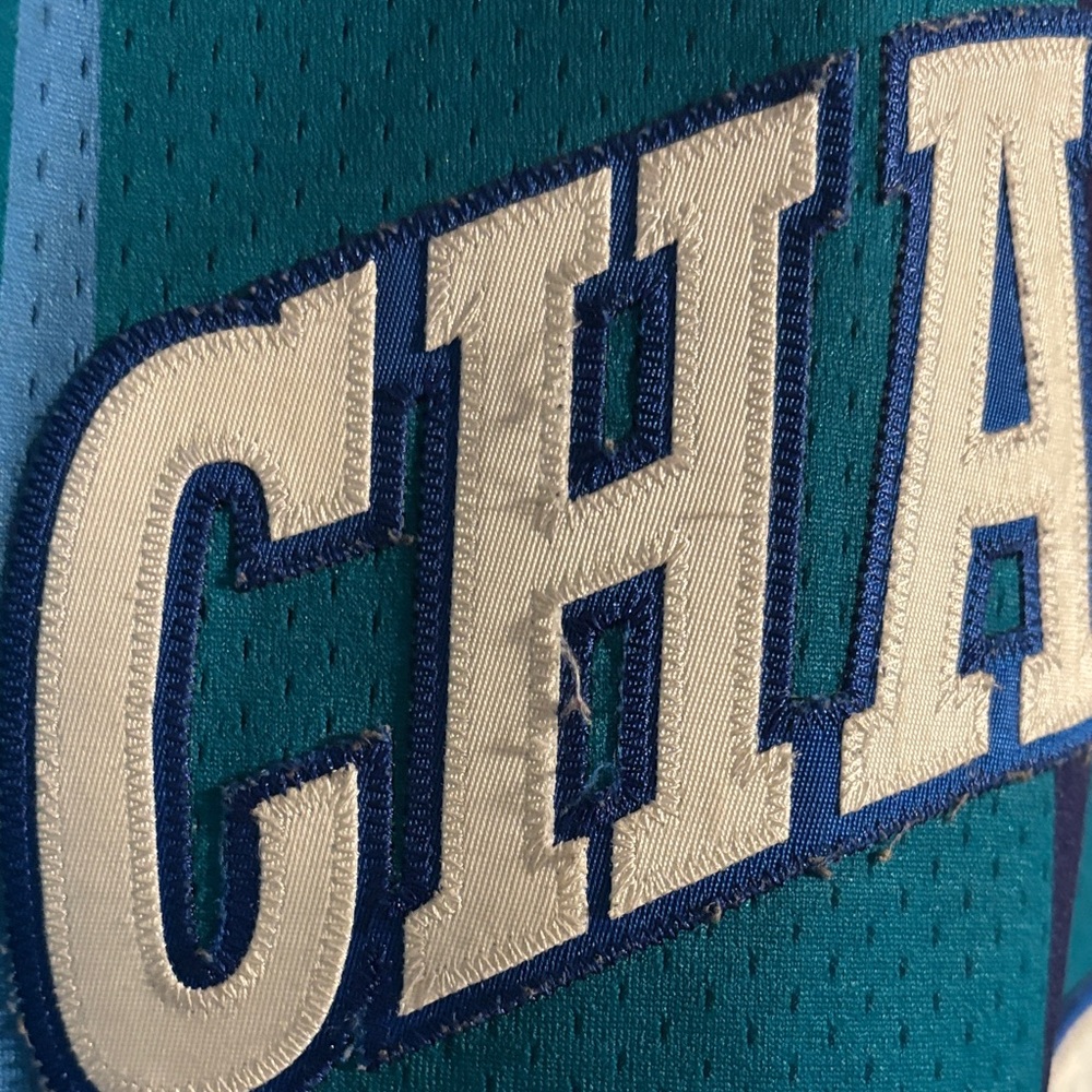 1992-93 Mitchell & Ness Charlotte Hornets Larry Johnson Hardwood Classics Jersey - Picture 6 of 10